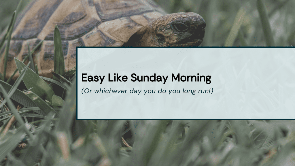 Slow Long Runs Image Title