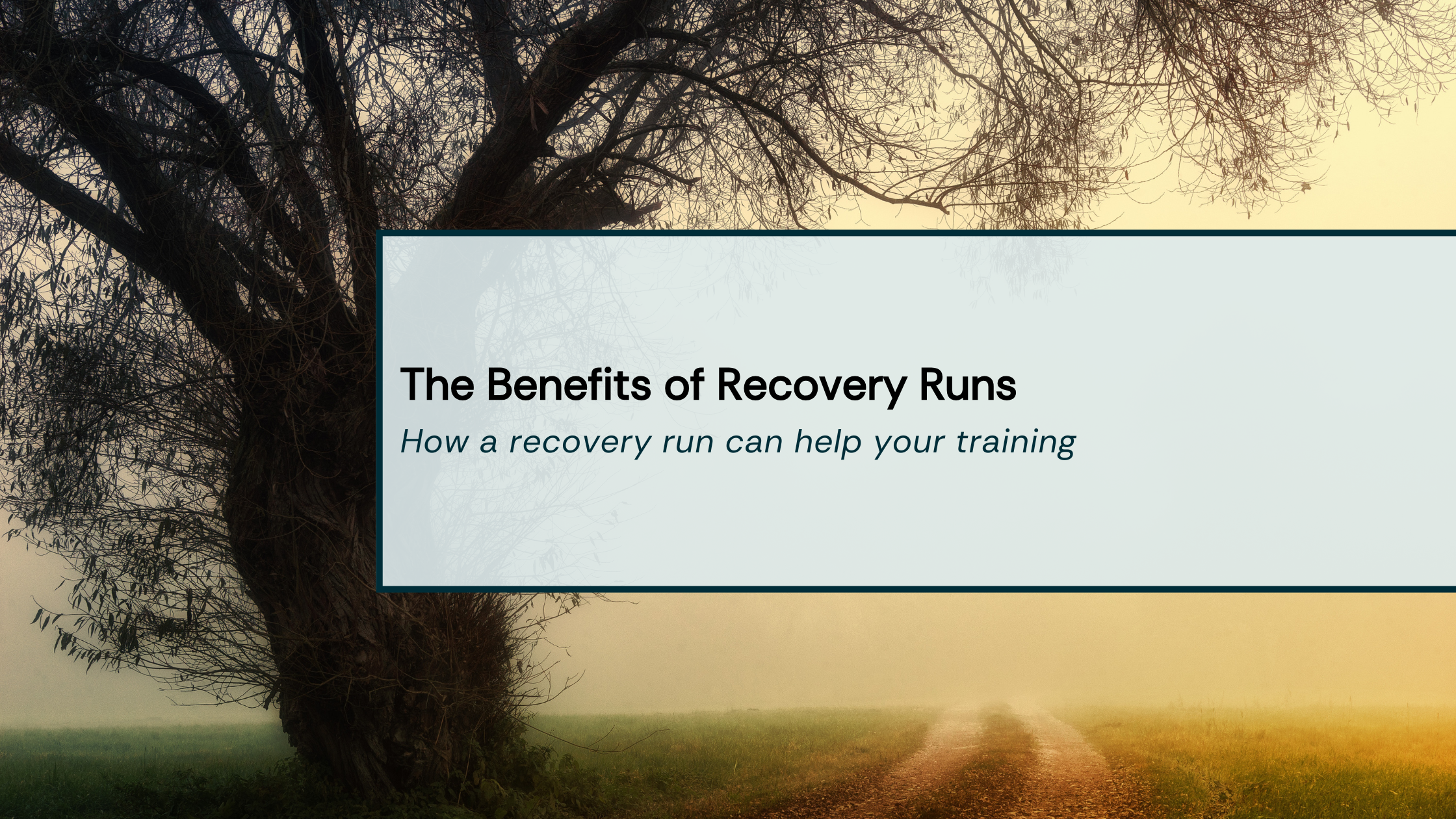 the benefits of recovery runs